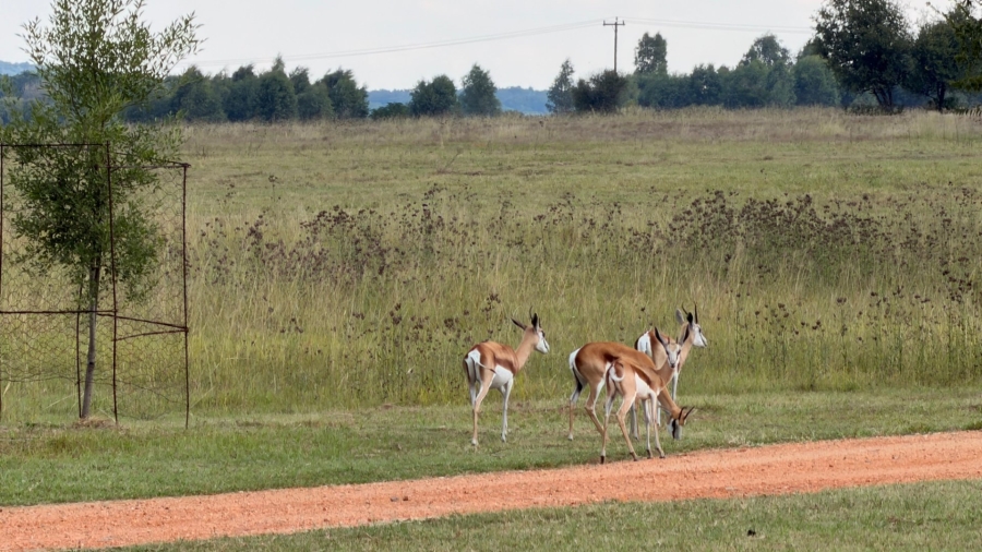 4 Bedroom Property for Sale in Viljoenskroon Rural Free State